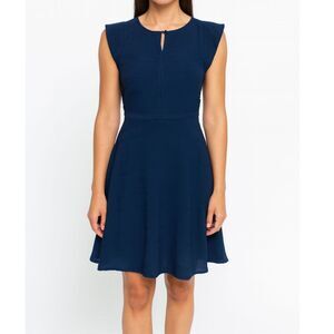 Banana Republic Womens Navy Blue Flutter Sleeve Knee Length Dress Size 8 Preppy